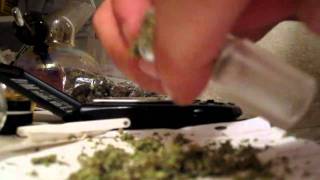 2.4 gram hit hoss bongs