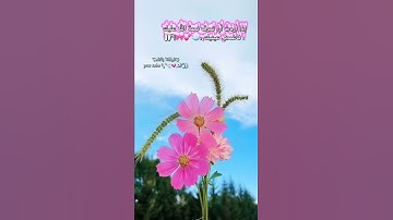 حالات واتس اب دينيه||ستوريات انستا دينيه🌸آيات قرآنيه قصيره⇥ «💗وإن تعدوا نعمة الله لا تحصوها 💗»