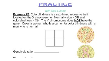 Complex Inheritance Patterns - x linked  1