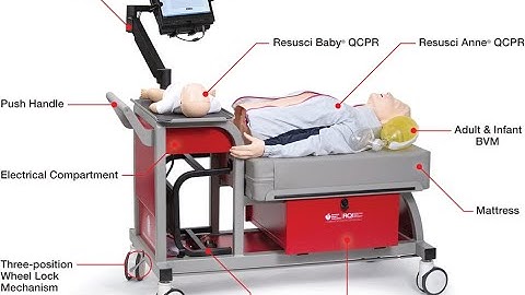 RQI CPR Test Prep (How To) for Certification- Bay Area CA | Learn CPR, BLS, ACLS, PALS & NRP Fast!