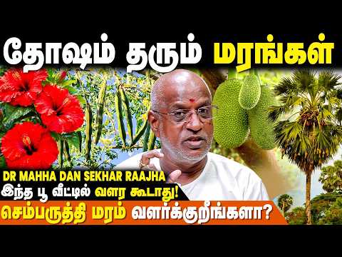 உங்களுக்கு நல்லது நடக்காமல் தடுப்பது இது தான் | Dhosham | Numerology | Mahha Dan Shekar Raajha