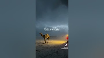 وكذلك أنزلناه آيات بينات وأن الله يهدي من يريد #سورة_الحج #ياسر_الدوسري #تلاوة_مؤثرة #قران #quran
