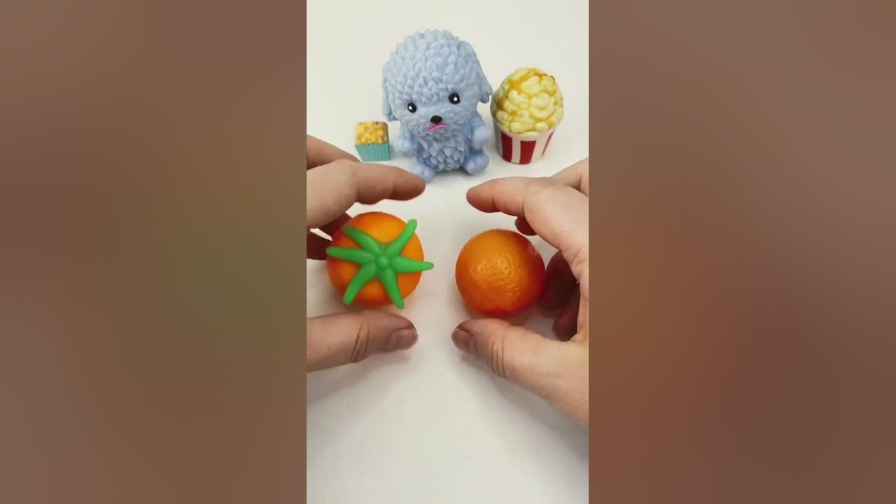Squishy Food for a Cute Squishy Puppy 🐶 Fun squishy Fidget Toys! Oddly