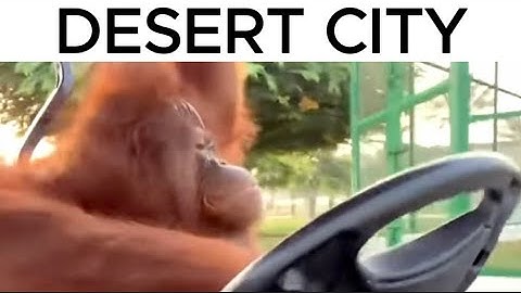 Listening to Geometry Dash Custom Songs be like...