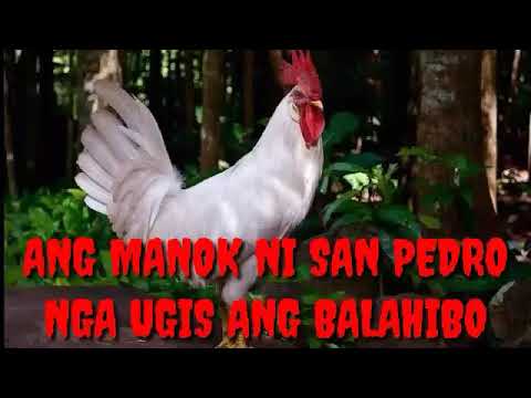 Ang Manok ni San Pedro by Max Surban