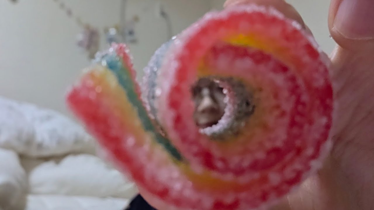 젤리 얼먹 / 두쫀쿠 대체품 찾기 여정