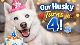 Sokah Si Husky | Dia Berumur 4 Tahun Hari Ini!! Merayakan Ulang Tahun untuk Husky Kami! | EP. 124