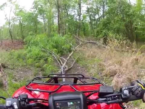 honda-rancher-420at:-encounters-a-fallen-tree-near-the-swamp