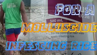 How To Do A Right Time With A Perfect Of,Update And Review Of A Molluscicide