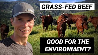 Grass-Fed Beef: Regenerate Soil and Ecosystems When Done the Right Way