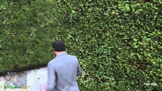 GTA 5 - Secret Garden Maze Location - Grand Theft Auto V Secrets