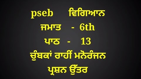 ਚੁੰਬਕਾ ਰਾਹੀਂ ਮਨੋਰੰਜਨ || 6th class science || in punjabi || lesson 13 || question answer | chapter 13