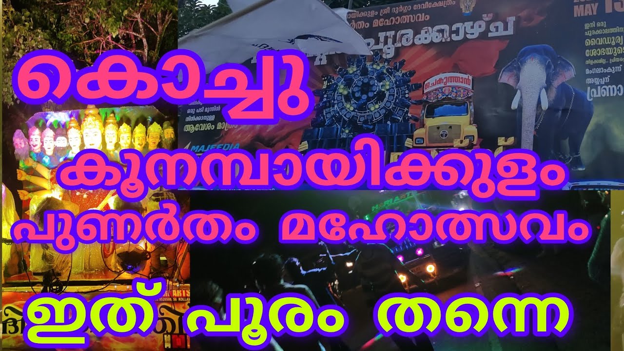 കൊച്ചു കൂനമ്പായിക്കുളം പുണർതം മഹോത്സവം 2024 ( kochu Koonambaikulam temple uthsavam )