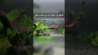 Dzikir pagi dan petang - Doa diberikan kesehatan