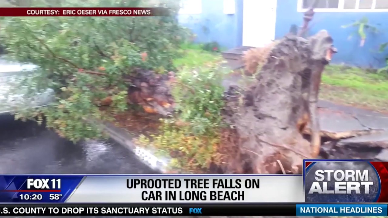 Happy Anniversary Fox Los Angeles!