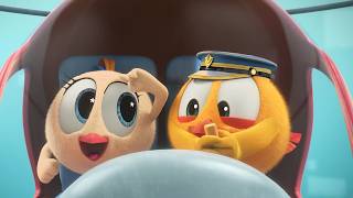 Chicky’s Helicopter! | Where's Chicky? | Cartoon Collection in English for Kids | New episodes