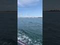 How My Boating Day Started vs. Ended (Cigarette Top Gun 38). High Peformance Boat Fail