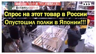 Бум на акулу из Икеи пришел в Японию | #IKEAshark boom in Japan