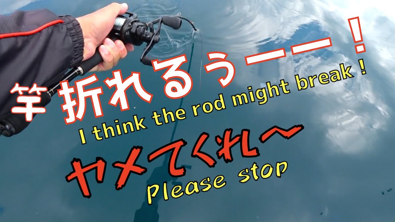 【ダンゴ釣り】愛媛の由良でバケモノ魚⁉︎竿折れるぅーー！