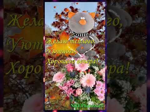 Добрый Вечер! Хорошего и уютного вечера! Красивая музыкальная открытка! #shorts