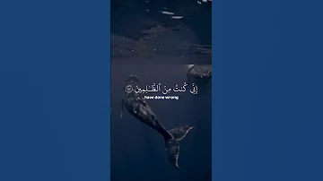 القرأن الكريم إسلام صبحي 