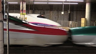 新幹線008＊ 光と闇の世界 part3＊E5系＊E6系＊E2系＊上野駅＊shinkansen