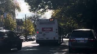 MTA NYCT: 2015 Novabus LFS #8375 on the Bx10 to Riverdale departing Bailey Av/238 St