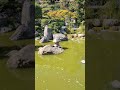 Hidden Gem in Monaco: The Stunning Japanese Garden! 🌿🇲🇨✨