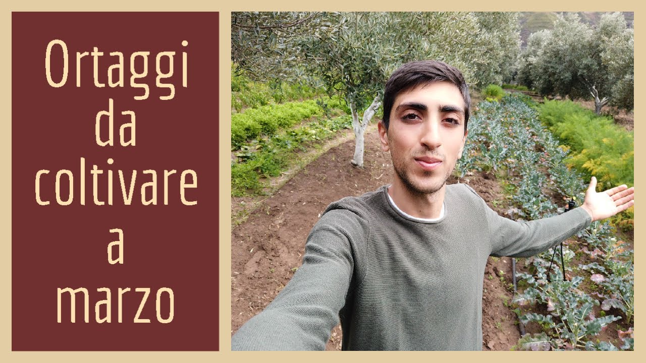 7 ortaggi facili da coltivare a marzo - YouTube