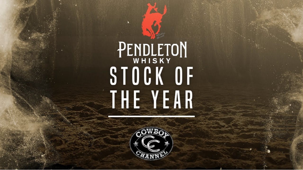 Pendleton Bronc Top 3 PRCA Saddle Bronc Horses of 2023 | Pendleton Whisky Bucking Stock ...