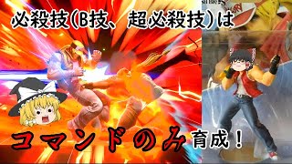 テリーのamiiboを｢必殺技は[コマンドのみ]｣で育成する！【スマブラSP】