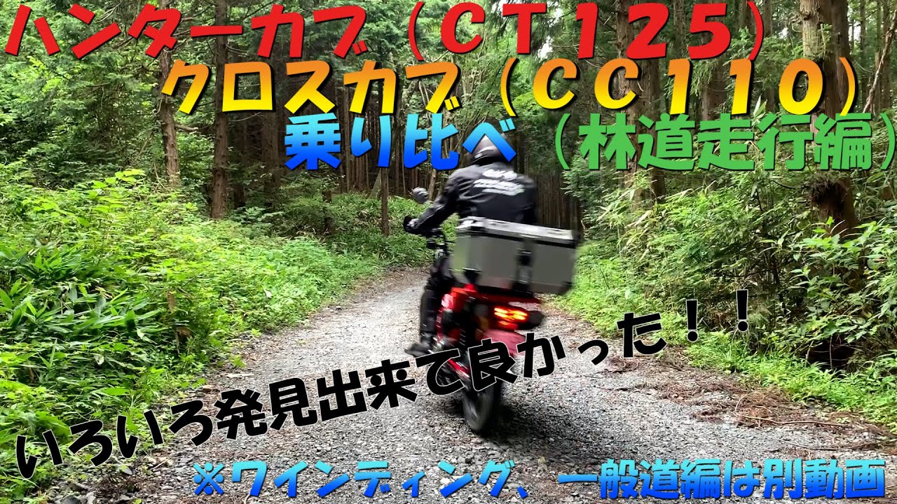 ハンターカブ（ＣＴ１２５）とクロスカブ（ＣＣ１１０）を乗り比べてみました（林道走行編）初心者林道走行動画です。（納車後初林道）ＪＡ５５