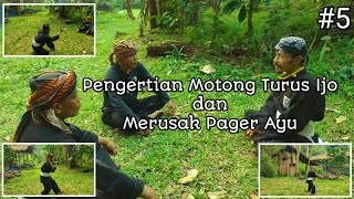 Pengertian Motong Turus Ijo & Merusak Pagar Ayu | Sanggar Setia Hati Mbah Sirot