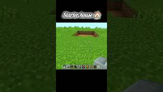 I Built the Ultimate Starter House in Minecraft