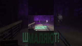 ОЙ, ШМАЛЯЮТ... 🫢 #abioticfactor #мем