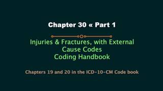 Famous Overview Ch. 19 and 20 Guidelines Pt 1 ICD-10-CM; Coding Hdbook Ch. 29 Injuries (Ch. 30 earlier ed.) Profile