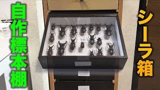 シーラ箱と自作標本箱棚【クワガタムシ】昆虫標本
