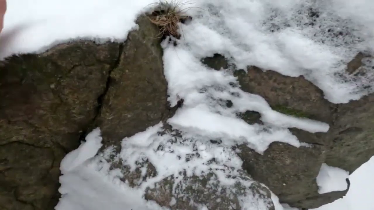 Spacerek zimową porą-Głuszyca 2025