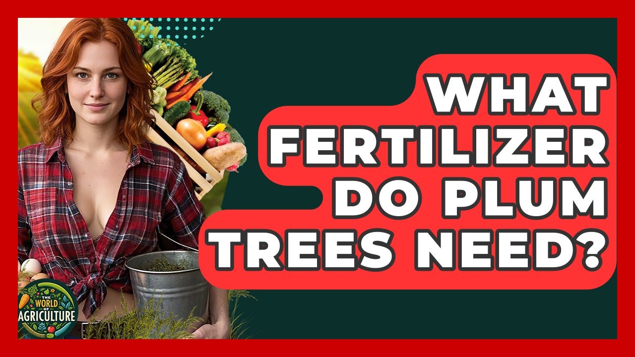 What Fertilizer Do Plum Trees Need? - The World of Agriculture