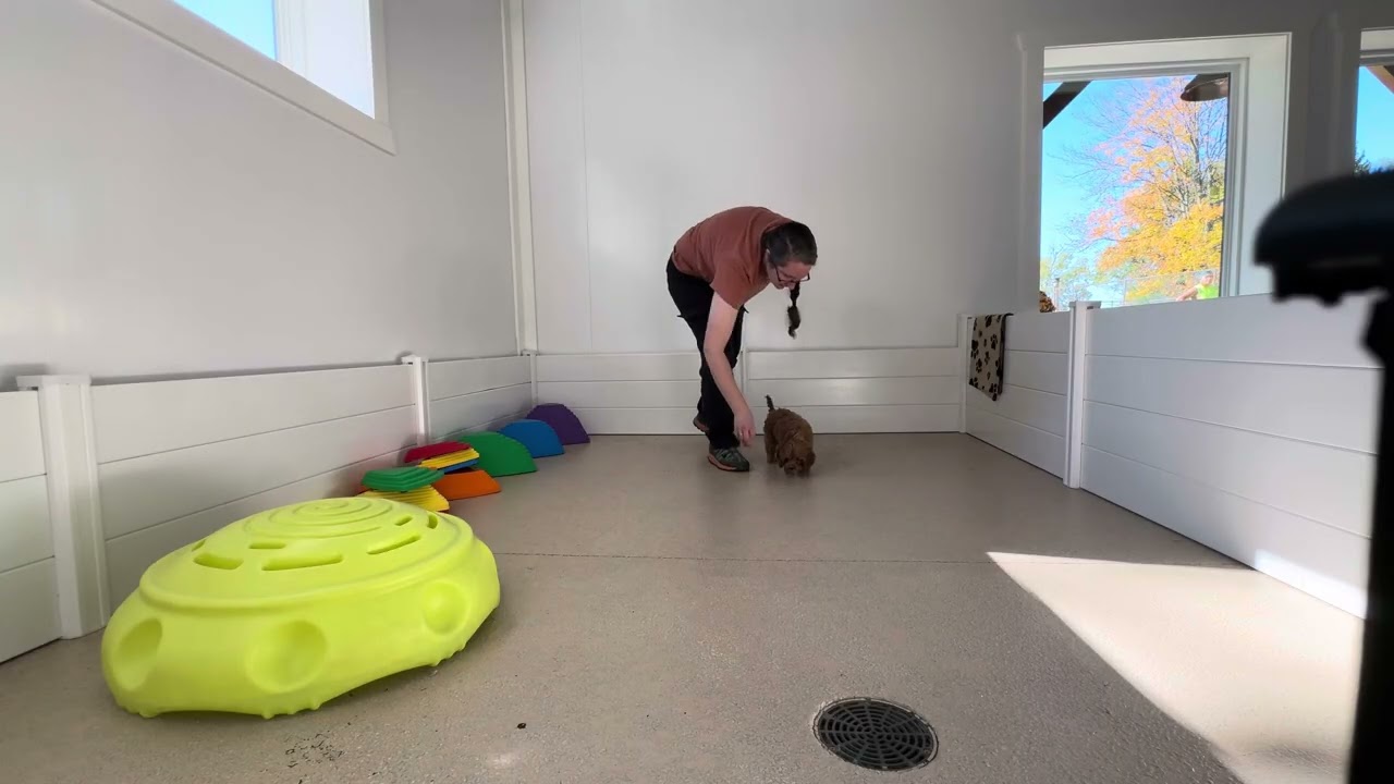 Soho Training Session 10/27