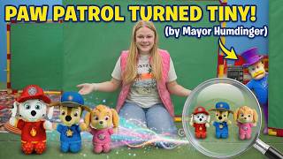 assistant puppy rescue tiny paw patrol pups lava challenge
