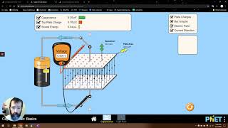 Capacitor simulations