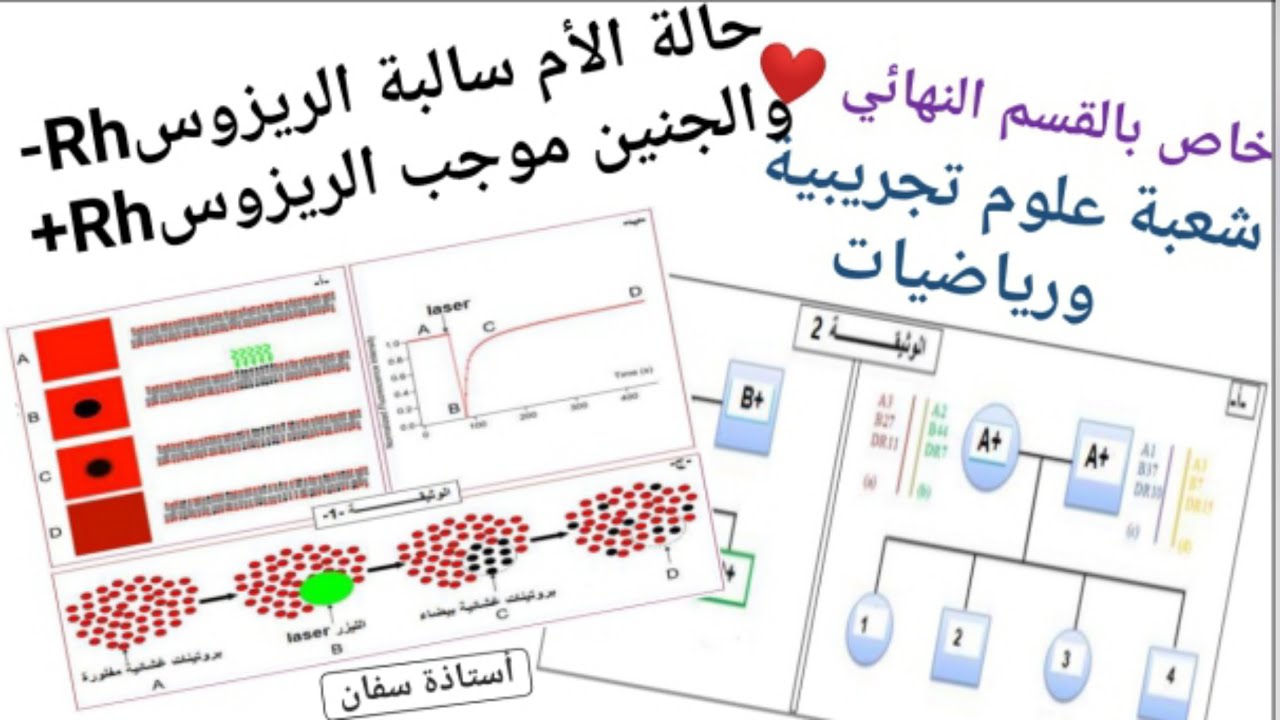 حل تمرين استدلال علمي 🧐 حول الذات واللاذات ❤✌