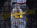 Chicks Refuse To Go To Bed! Day 26 #babychicks #funnyanimals