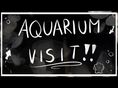 Aquarium Trip!! (+ drawings at the end!!)