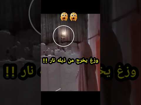 سبحان الله وزغ يخرج من ذيله ضوء أو نار   