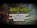 STORM DEATH - Paradigm Of The Experiment Inserted Across The Universe It Responds... [LYRIC VIDEO]