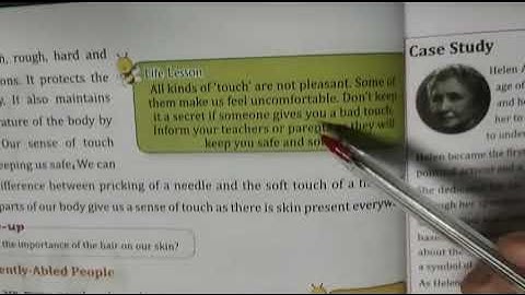 Class 4th Environmental Science (EVS) Chapter 2 Sense of Organs   Window to the world