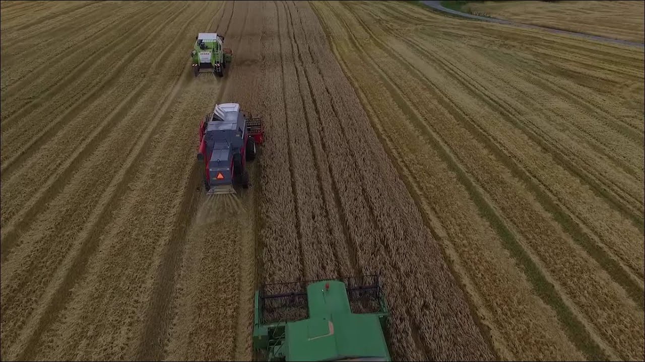 Harvesting - Norway - Byneset