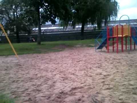 Devvo at the park